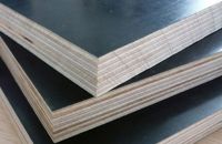 Cách Kiểm Tra Chất Lượng Ván Ép Cốp Pha Phủ Phim