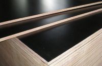 Những lợi ích và cấu tạo của ván ép coppha trong cuộc sống