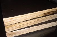 Những cách bảo quản ván ép coppha và đặc tính vốn có của chúng