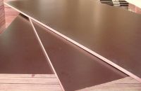 Tính năng và công dụng ván ép Coppha