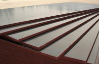 Ứng Dụng Và Cách Bảo Quản Ván Ép Phủ Phim