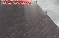 Lựa chọn ván ép phủ phim trong thi công đổ sàn bê tông