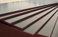 Lý Do Nên Sử Dụng Ván Coppha Là Gì?