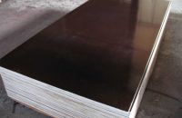 Tại Sao Nên Chọn Ván Ép Coppha Phủ Phim