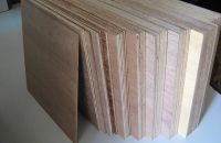 Một ván ép coppha bao gồm những gì?