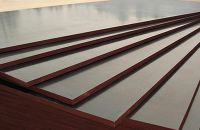 Những Điểm Khác Nhau Giữa Ván Ép Thường Và Ván Ép Coppha Phủ Phim